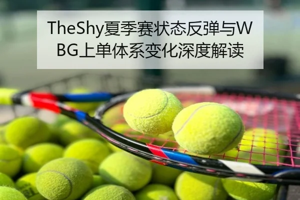 TheShy夏季赛状态反弹与WBG上单体系变化深度解读